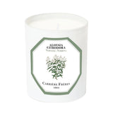 Carriere Freres Verbena Candle 185g
