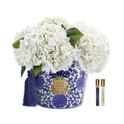 Cote Noire Oriental Hydrangeas (Ivory) - Beauty Affairs1