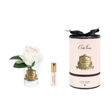Cote Noire Perfumed Rose Bud – Clear Glass Round Box - Blush — Pink Box