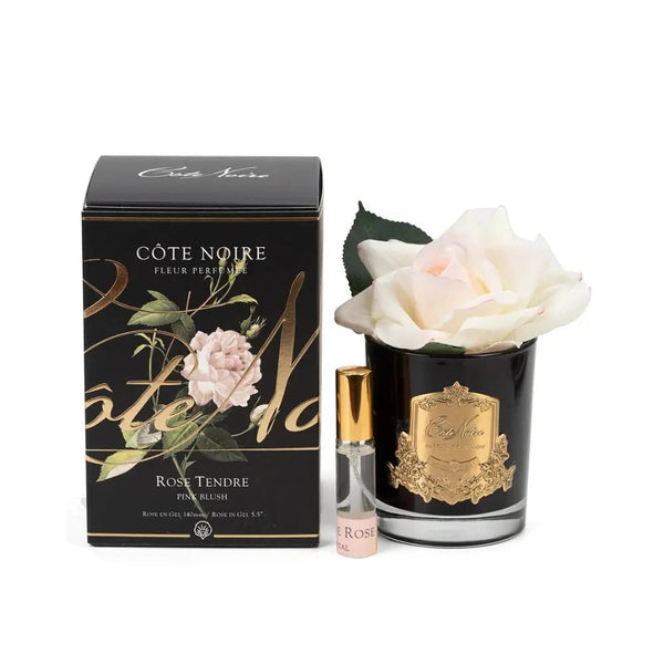 Cote Noire Perfumed Natural Touch Single Rose Pink Blush Cote Noire (Golden & Black Glass) - Beauty Affairs 2